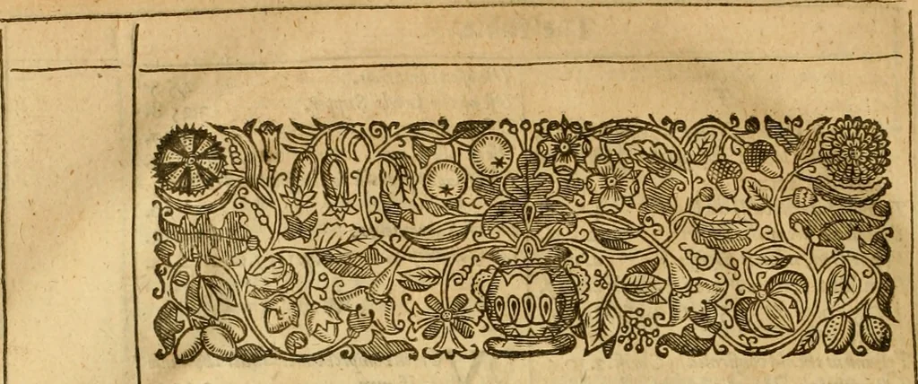 An illustration from The institution of christian religion, 1634, leaf 839