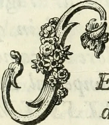 An illustration from Instituzione pratica dell' architettura civile per la decorazione de' pubblici, e privati edifici : preceduta da un articolo di geometria in pratica ad uso delli disegnatori ed artifici, 1766, leaf 8