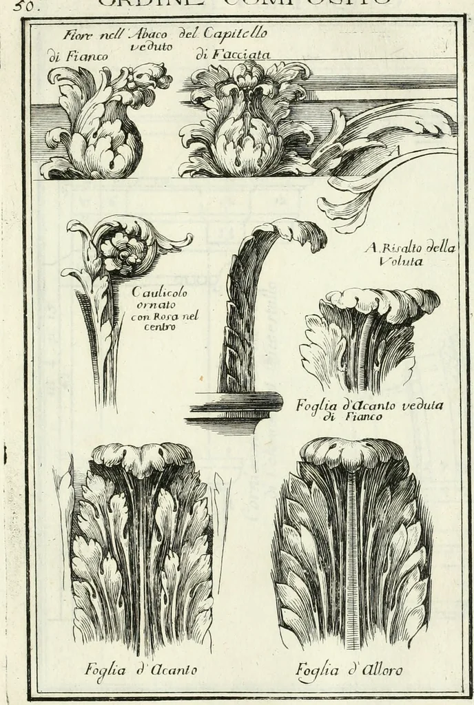 An illustration from Instituzione pratica dell' architettura civile per la decorazione de' pubblici, e privati edifici : preceduta da un articolo di geometria in pratica ad uso delli disegnatori ed artifici, 1766, leaf 106