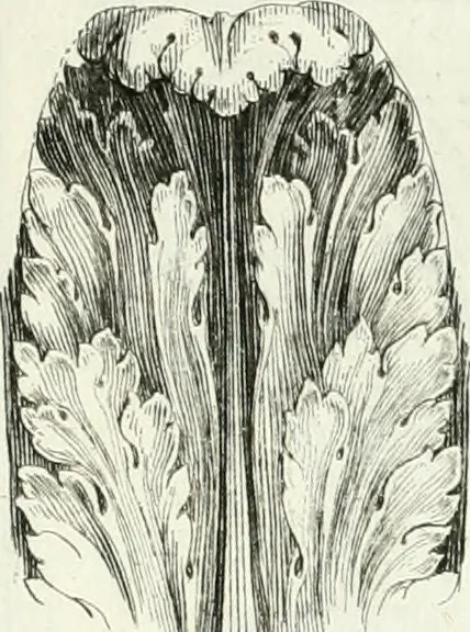 An illustration from Instituzione pratica dell' architettura civile per la decorazione de' pubblici, e privati edifici : preceduta da un articolo di geometria in pratica ad uso delli disegnatori ed artifici, 1766, leaf 132