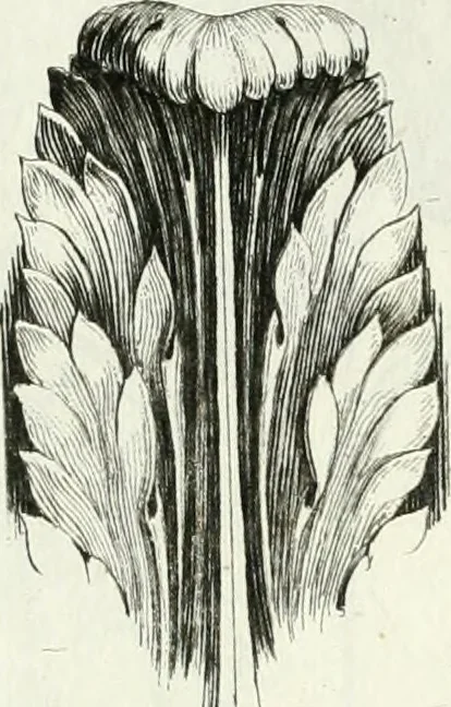 An illustration from Instituzione pratica dell' architettura civile per la decorazione de' pubblici, e privati edifici : preceduta da un articolo di geometria in pratica ad uso delli disegnatori ed artifici, 1766, leaf 132