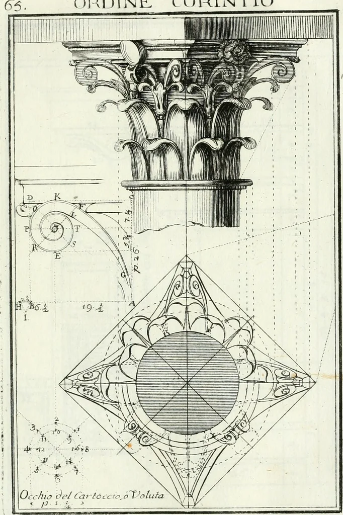 An illustration from Instituzione pratica dell' architettura civile per la decorazione de' pubblici, e privati edifici : preceduta da un articolo di geometria in pratica ad uso delli disegnatori ed artifici, 1766, leaf 136