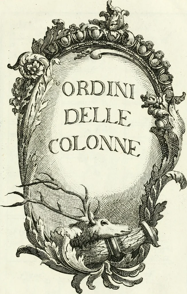 An illustration from Instituzione pratica dell' architettura civile per la decorazione de' pubblici, e privati edifici : preceduta da un articolo di geometria in pratica ad uso delli disegnatori ed artifici, 1766, leaf 14