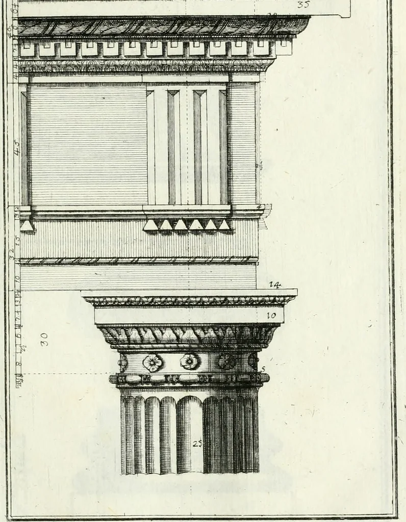 An illustration from Instituzione pratica dell' architettura civile per la decorazione de' pubblici, e privati edifici : preceduta da un articolo di geometria in pratica ad uso delli disegnatori ed artifici, 1766, leaf 220