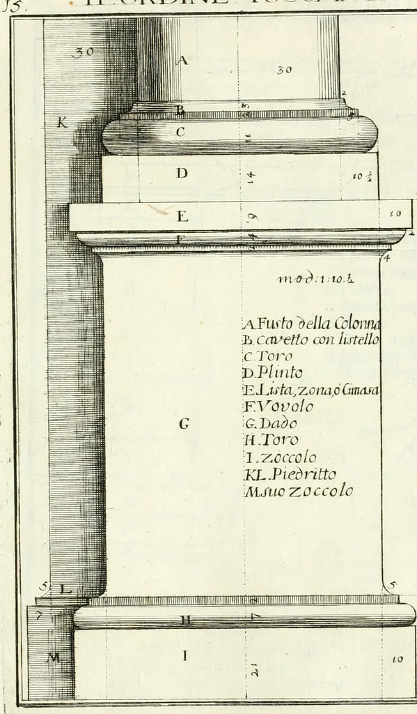 An illustration from Instituzione pratica dell' architettura civile per la decorazione de' pubblici, e privati edifici : preceduta da un articolo di geometria in pratica ad uso delli disegnatori ed artifici, 1766, leaf 36
