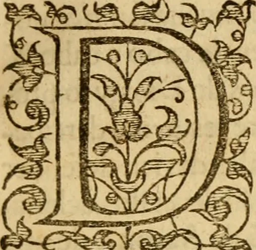 An illustration from Institvción de la religión cristiana, 1597, leaf 10