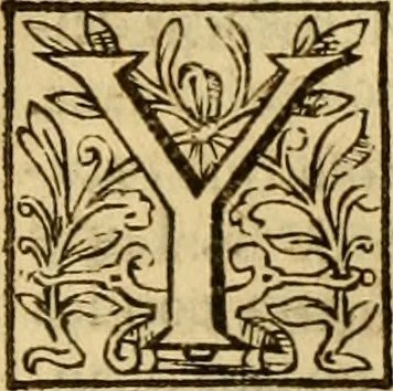 An illustration from Institvción de la religión cristiana, 1597, leaf 338