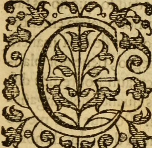 An illustration from Institvción de la religión cristiana, 1597, leaf 36
