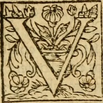 An illustration from Institvción de la religión cristiana, 1597, leaf 372