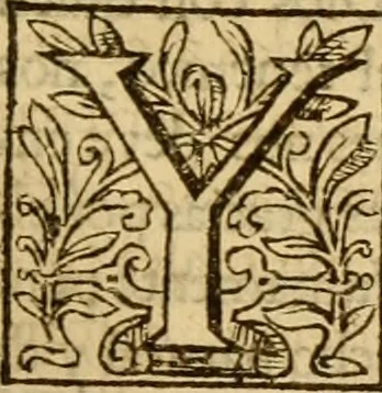 An illustration from Institvción de la religión cristiana, 1597, leaf 38