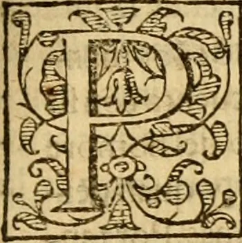 An illustration from Institvción de la religión cristiana, 1597, leaf 510