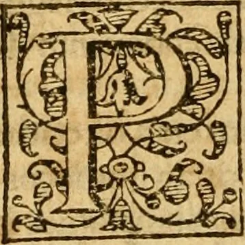 An illustration from Institvción de la religión cristiana, 1597, leaf 565