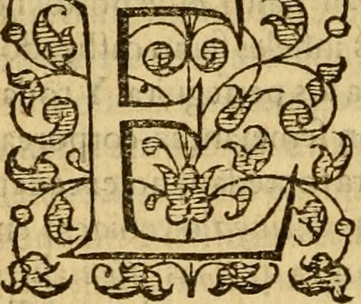 An illustration from Institvción de la religión cristiana, 1597, leaf 717