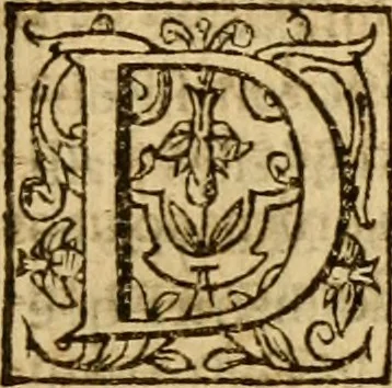 An illustration from Institvción de la religión cristiana, 1597, leaf 738