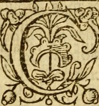 An illustration from Institvción de la religión cristiana, 1597, leaf 989