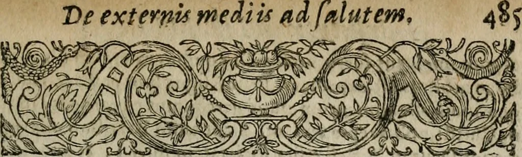 An illustration from Institvtio christianæ religionis, 1618, leaf 1002