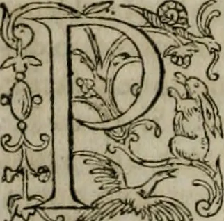 An illustration from Institvtio christianæ religionis, 1618, leaf 159
