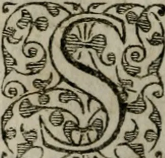 An illustration from Institvtio christianæ religionis, 1618, leaf 503