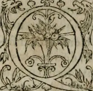 An illustration from Institvtio christianæ religionis, 1618, leaf 525
