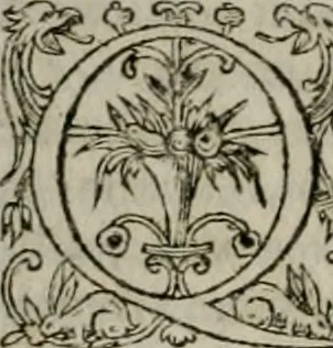An illustration from Institvtio christianæ religionis, 1618, leaf 771