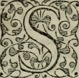 An illustration from Institvtio christianæ religionis, 1618, leaf 870