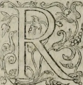 An illustration from Institvtio christianæ religionis, 1618, leaf 893