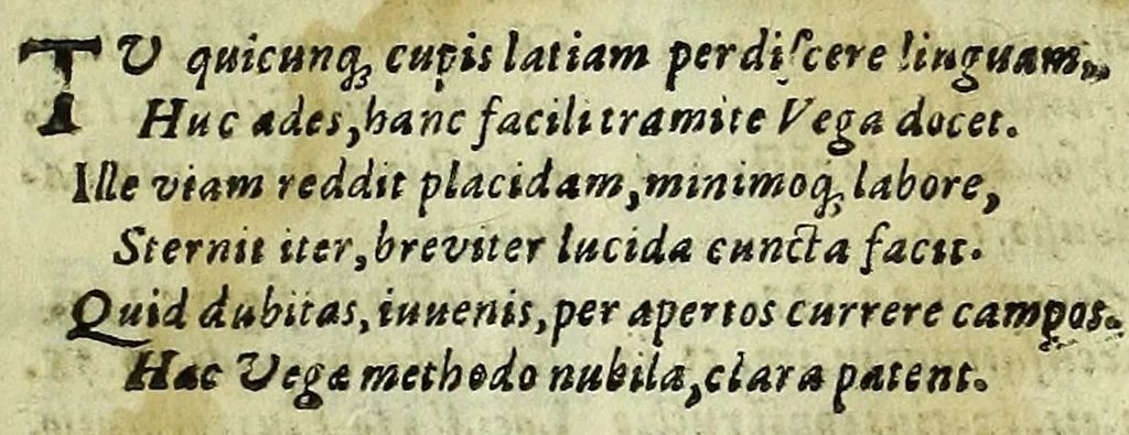 An illustration from Institvtiones grammaticae latino carmine, hispana cum explicatione, nunc primú ex authoribus omnium probatissimis in lucidissimum compendium collectae, & in quinque tractatus distributae, 1595, leaf 351