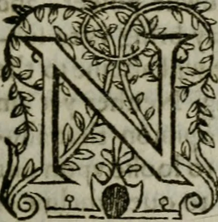 An illustration from The institvtion of Christian religion, 1578, leaf 208
