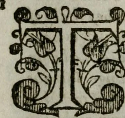 An illustration from The institvtion of Christian religion, 1578, leaf 31