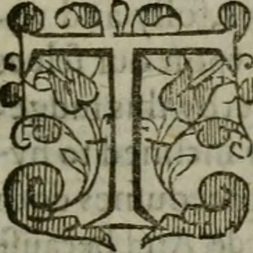 An illustration from The institvtion of Christian religion, 1578, leaf 36