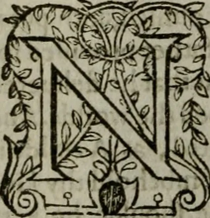 An illustration from The institvtion of Christian religion, 1578, leaf 461