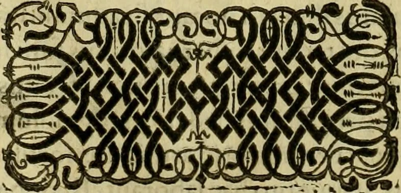 An illustration from Institvtionvm imperialivm analyseis, seu, Resolvtiones novae, propter tyrones iuris ciuilis scientiae schematismois delineatae, 1575, leaf 13