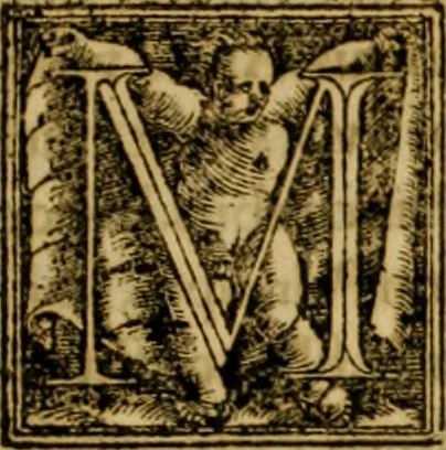 An illustration from Institvtionvm imperialivm analyseis, seu, Resolvtiones novae, propter tyrones iuris ciuilis scientiae schematismois delineatae, 1575, leaf 8