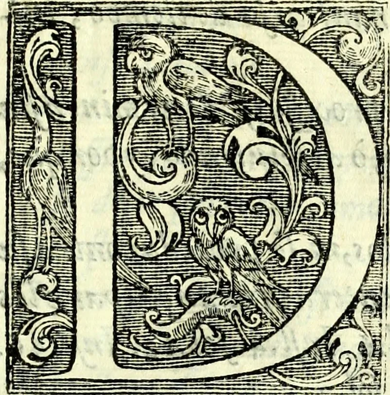 An illustration from Instruciones del Santo Oficio de la Inquisicion, sumariamente, antignas y nueuas, 1627, leaf 14