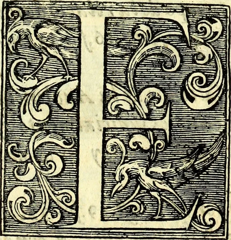 An illustration from Instruciones del Santo Oficio de la Inquisicion, sumariamente, antignas y nueuas, 1627, leaf 16