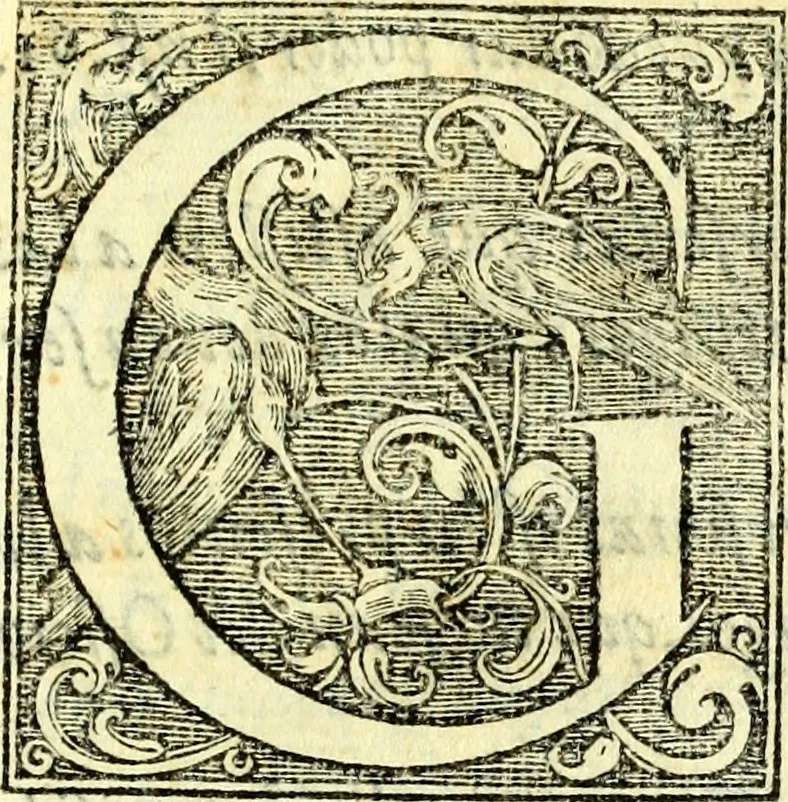 An illustration from Instruciones del Santo Oficio de la Inquisicion, sumariamente, antignas y nueuas, 1627, leaf 18