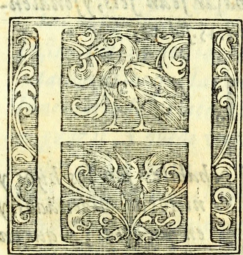 An illustration from Instruciones del Santo Oficio de la Inquisicion, sumariamente, antignas y nueuas, 1627, leaf 18