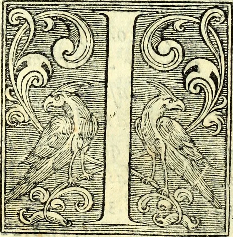 An illustration from Instruciones del Santo Oficio de la Inquisicion, sumariamente, antignas y nueuas, 1627, leaf 19