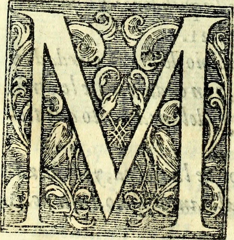 An illustration from Instruciones del Santo Oficio de la Inquisicion, sumariamente, antignas y nueuas, 1627, leaf 21