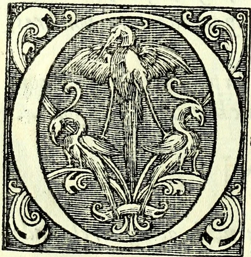 An illustration from Instruciones del Santo Oficio de la Inquisicion, sumariamente, antignas y nueuas, 1627, leaf 23