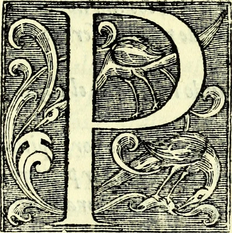 An illustration from Instruciones del Santo Oficio de la Inquisicion, sumariamente, antignas y nueuas, 1627, leaf 24