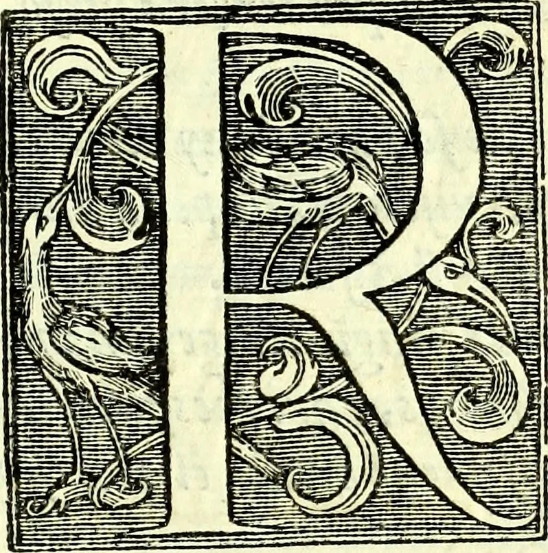 An illustration from Instruciones del Santo Oficio de la Inquisicion, sumariamente, antignas y nueuas, 1627, leaf 28