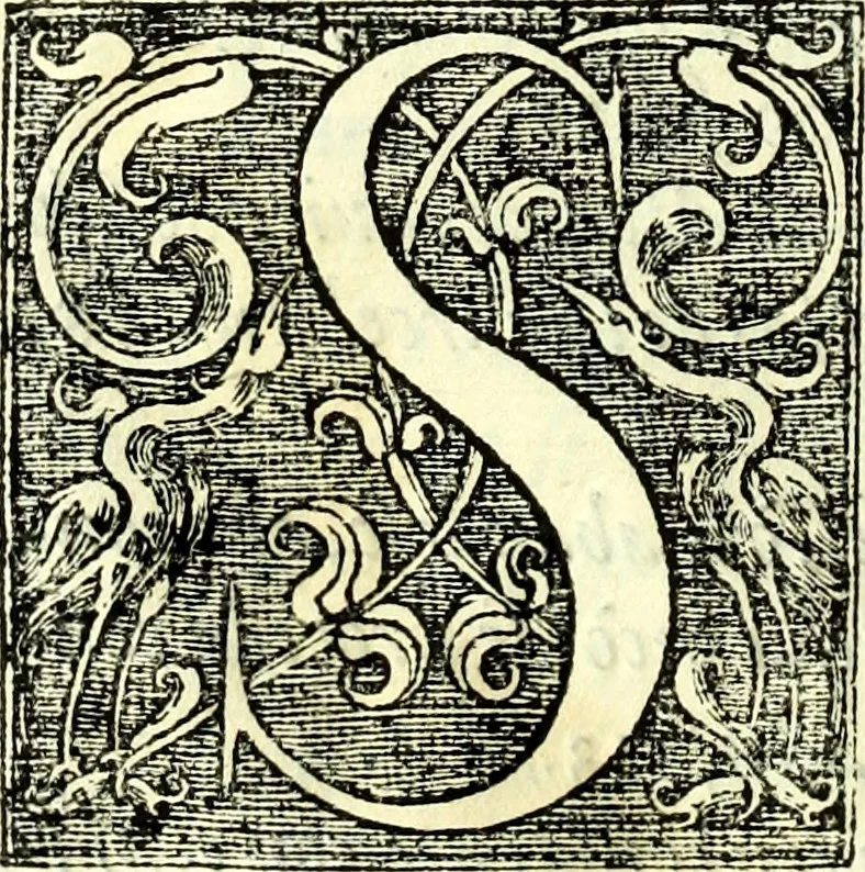 An illustration from Instruciones del Santo Oficio de la Inquisicion, sumariamente, antignas y nueuas, 1627, leaf 31