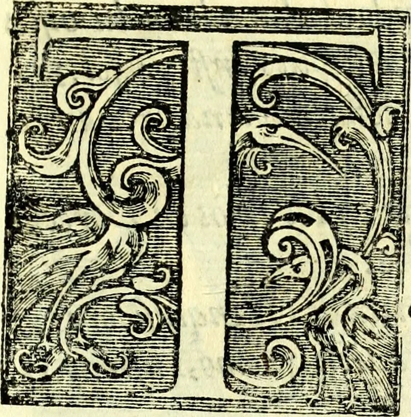 An illustration from Instruciones del Santo Oficio de la Inquisicion, sumariamente, antignas y nueuas, 1627, leaf 34