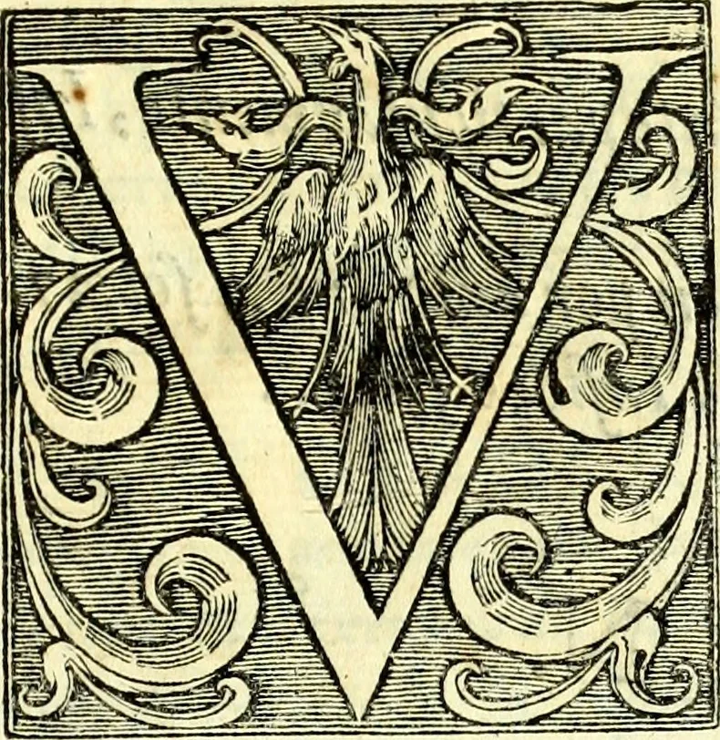 An illustration from Instruciones del Santo Oficio de la Inquisicion, sumariamente, antignas y nueuas, 1627, leaf 36