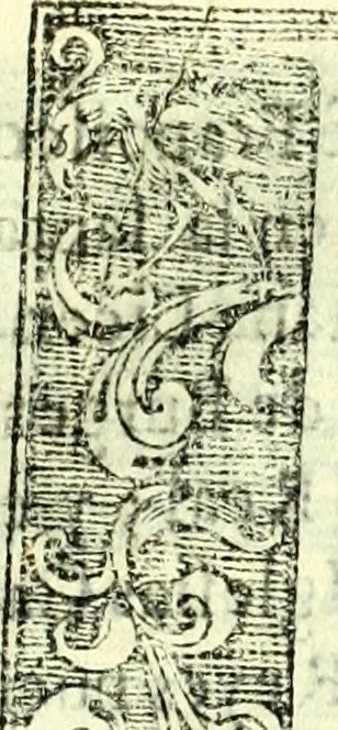 An illustration from Instruciones del Santo Oficio de la Inquisicion, sumariamente, antignas y nueuas, 1627, leaf 40