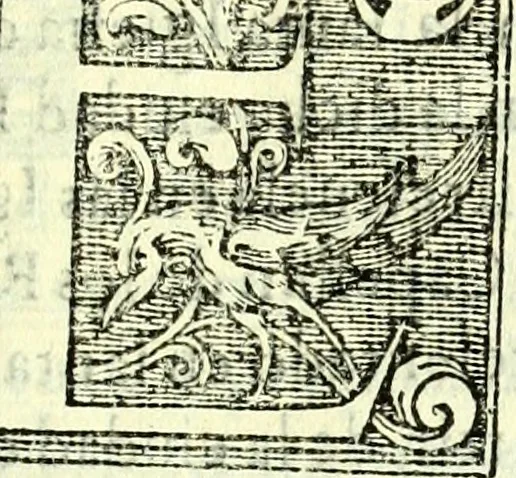 An illustration from Instruciones del Santo Oficio de la Inquisicion, sumariamente, antignas y nueuas, 1627, leaf 40