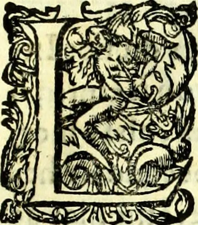 An illustration from Instruciones del Santo Oficio de la Inquisicion, sumariamente, antignas y nueuas, 1627, leaf 42