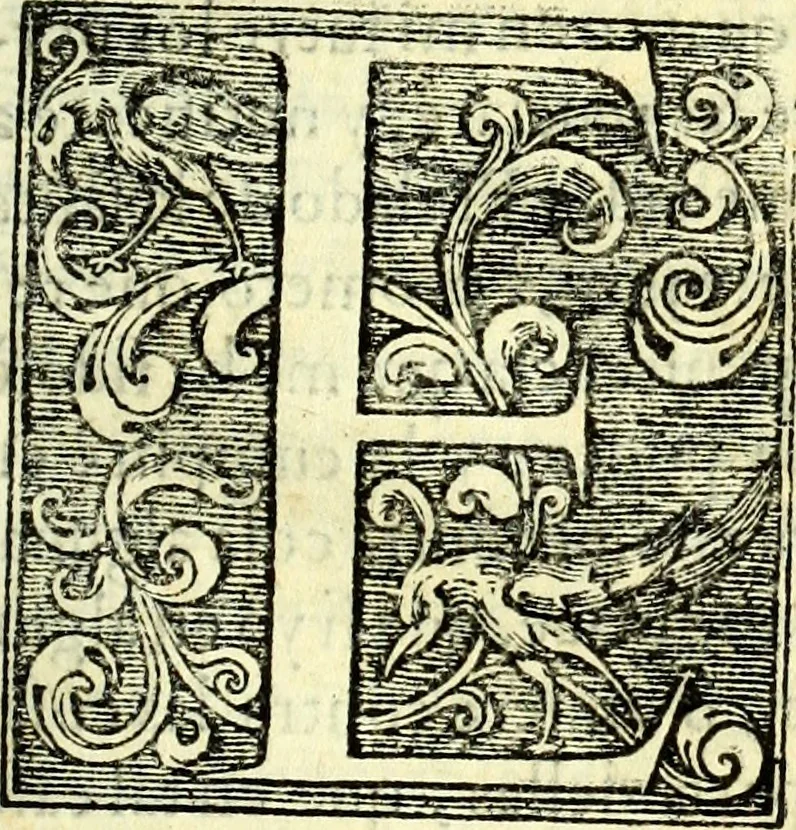 An illustration from Instruciones del Santo Oficio de la Inquisicion, sumariamente, antignas y nueuas, 1627, leaf 64