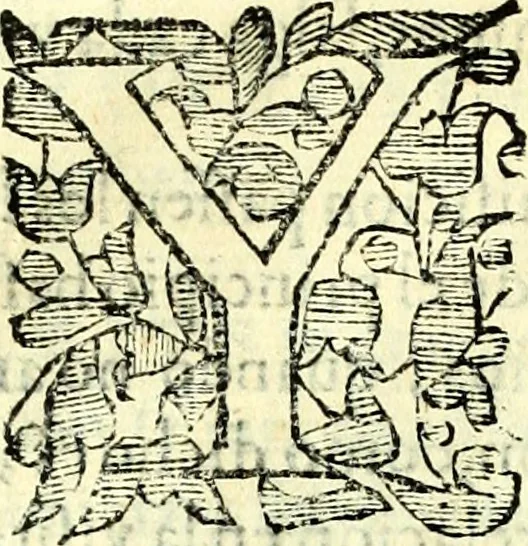 An illustration from Instruciones del Santo Oficio de la Inquisicion, sumariamente, antignas y nueuas, 1627, leaf 65